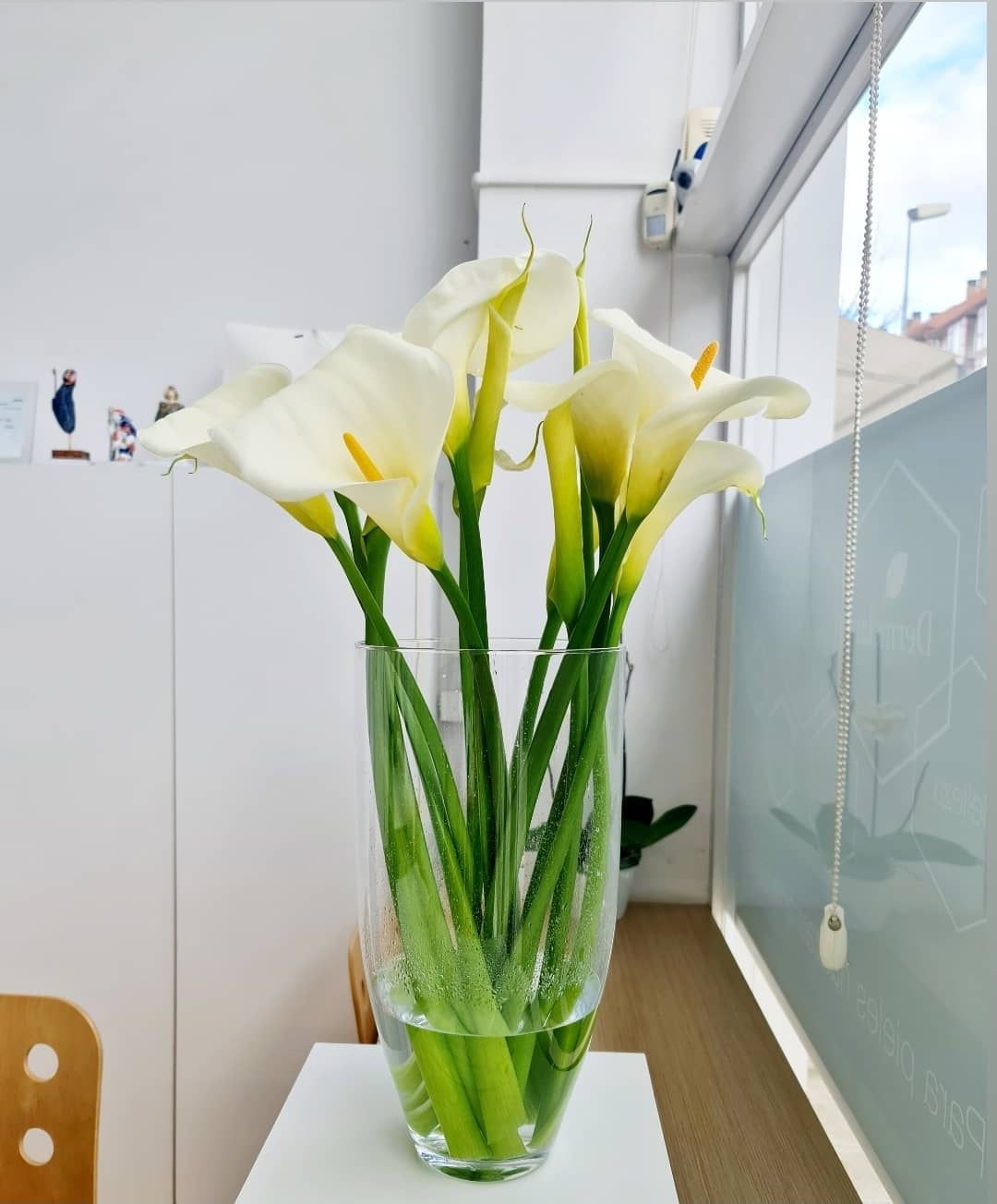 Detalle de flores en la recepción de la clínica